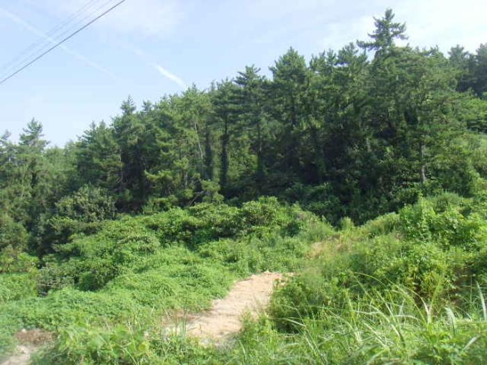 전라남도 완도군 약산면 우두리 1238 전 경매 사진 24