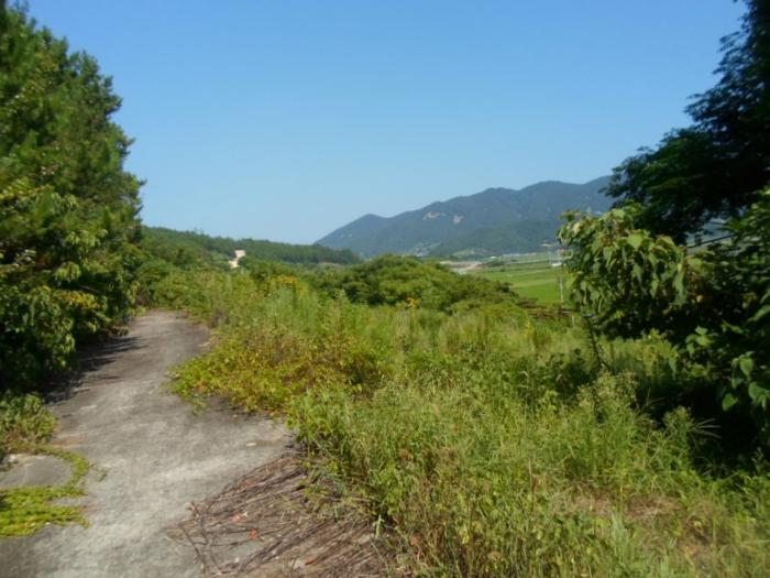 전라남도 완도군 약산면 우두리 1238 전 경매 사진 7
