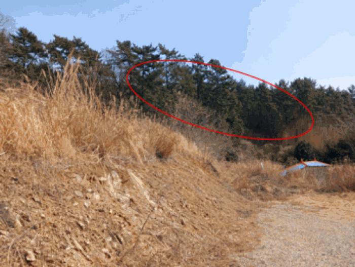 경상남도 남해군 삼동면 동천리 1307-4 임야 경매 사진 7