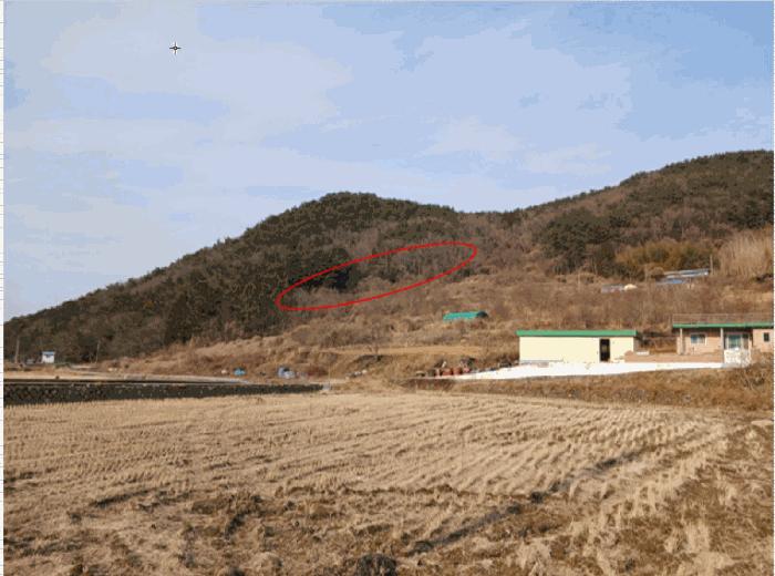 경상남도 남해군 삼동면 동천리 1338 전 경매 사진 2