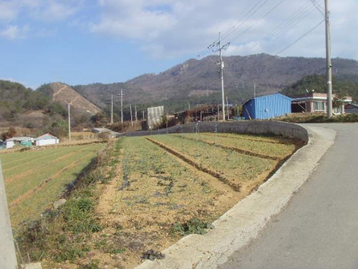 전라남도 해남군 현산면 조산리 166-11 주택 경매 사진 5