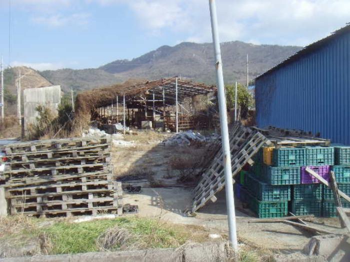 전라남도 해남군 현산면 조산리 166-11 주택 경매 사진 8