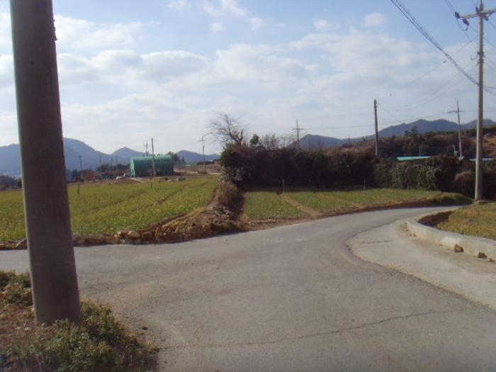 전라남도 해남군 현산면 조산리 166-11 주택 경매 사진 9