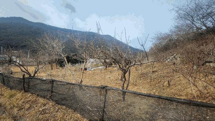 경상남도 고성군 상리면 망림리 109 공장 경매 사진 29
