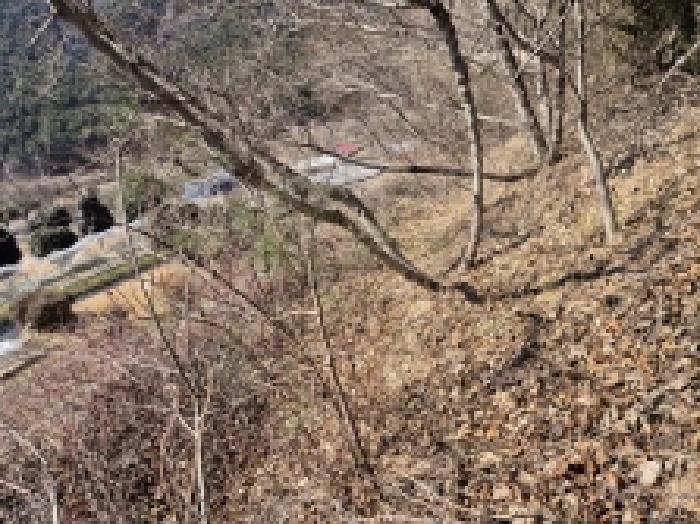 경상남도 고성군 상리면 망림리 109 공장 경매 사진 48