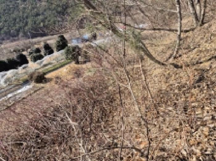 경상남도 고성군 상리면 망림리 109 공장 경매 사진 49