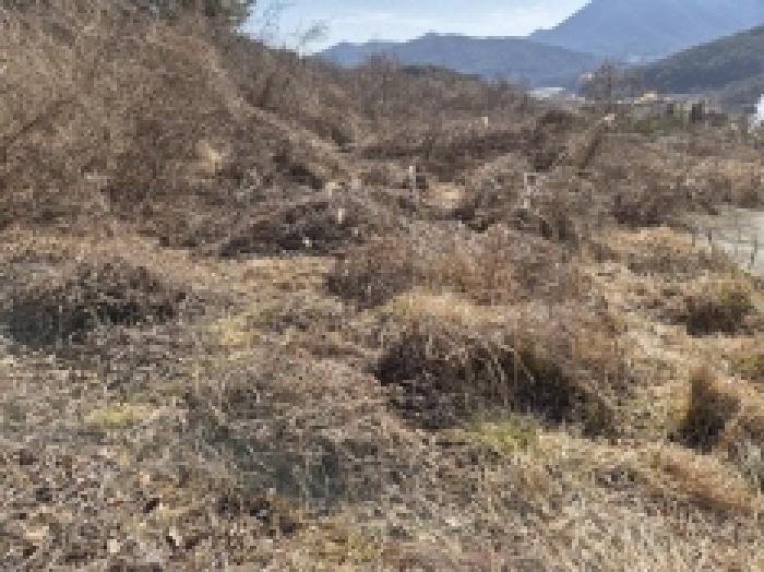경상남도 고성군 상리면 망림리 109 공장 경매 사진 52