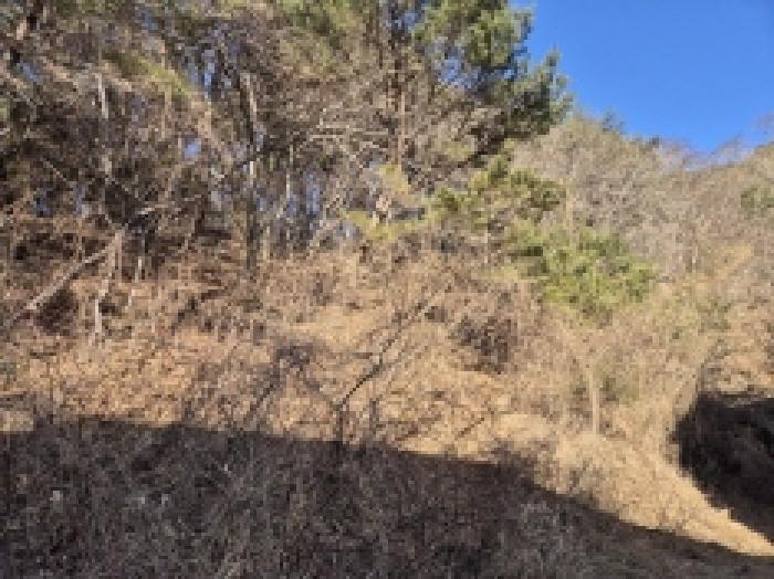 경상남도 고성군 상리면 망림리 109 공장 경매 사진 55