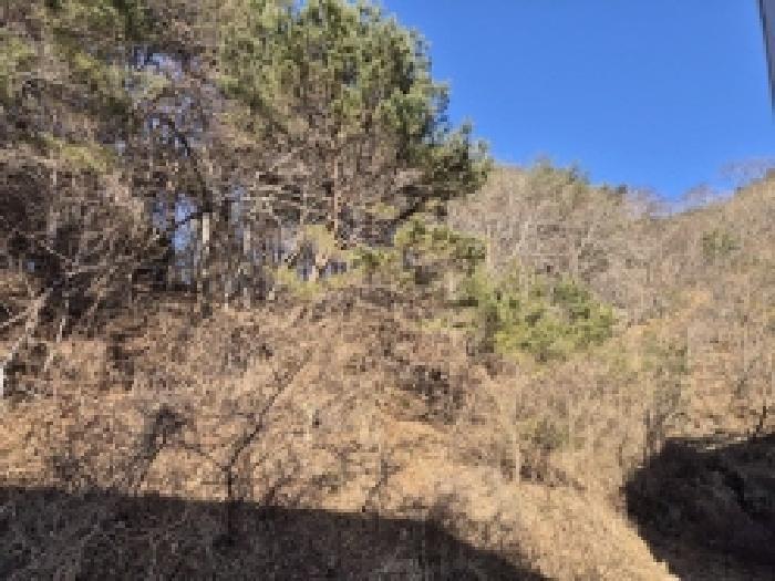 경상남도 고성군 상리면 망림리 109 공장 경매 사진 56