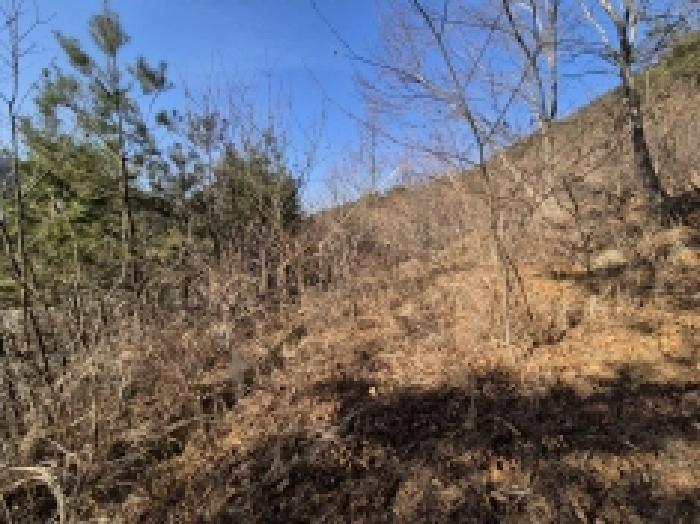 경상남도 고성군 상리면 망림리 109 공장 경매 사진 59