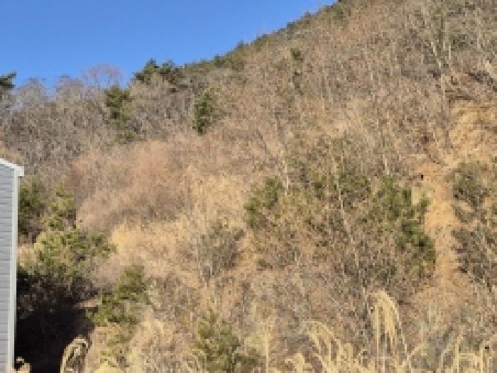 경상남도 고성군 상리면 망림리 109 공장 경매 사진 64