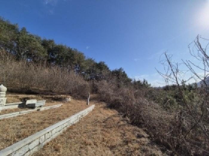 경상남도 고성군 상리면 망림리 109 공장 경매 사진 69