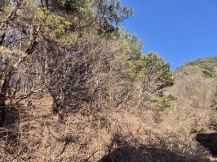 경상남도 고성군 상리면 망림리 109 공장 경매 사진 74