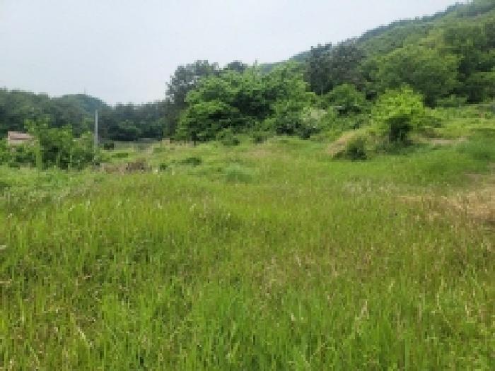 경상남도 통영시 광도면 덕포리 204-1 전 경매 사진 16