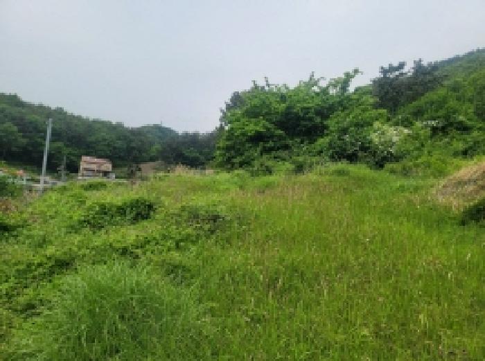 경상남도 통영시 광도면 덕포리 75 묘지 경매 사진 17