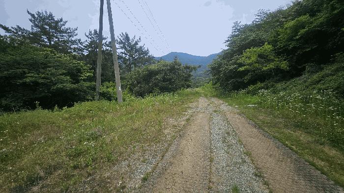경상남도 거제시 사등면 사등리 산54-8 임야 경매 사진 2