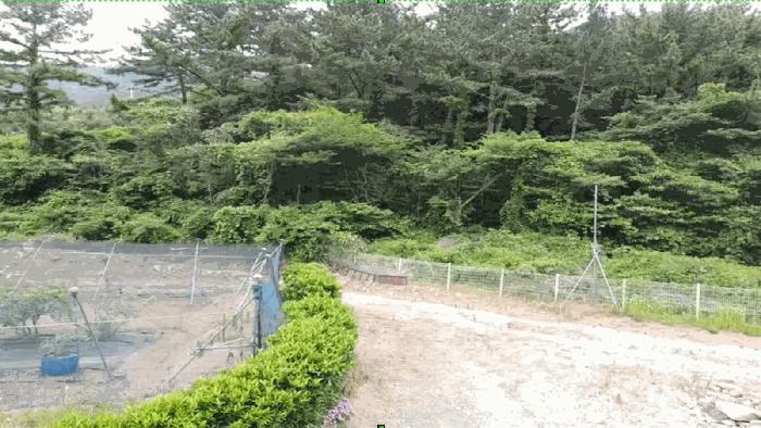 경상남도 거제시 사등면 사등리 산54-8 임야 경매 사진 3