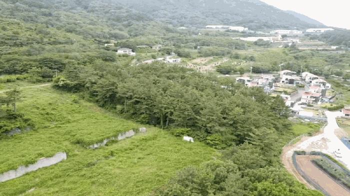 경상남도 거제시 사등면 사등리 산54-8 임야 경매 사진 4