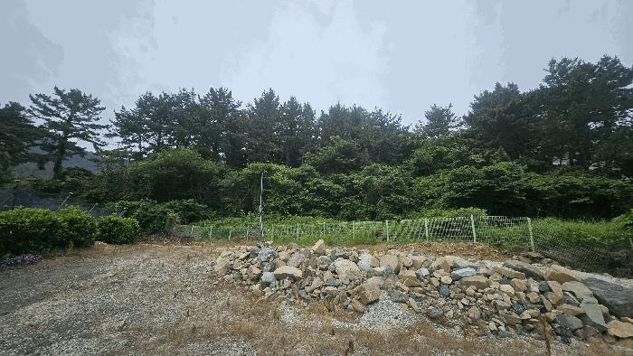 경상남도 거제시 사등면 사등리 산54-8 임야 경매 사진 5