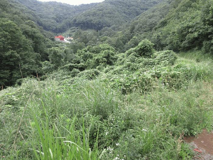 경상남도 거제시 아주동 1505 답 경매 사진 1