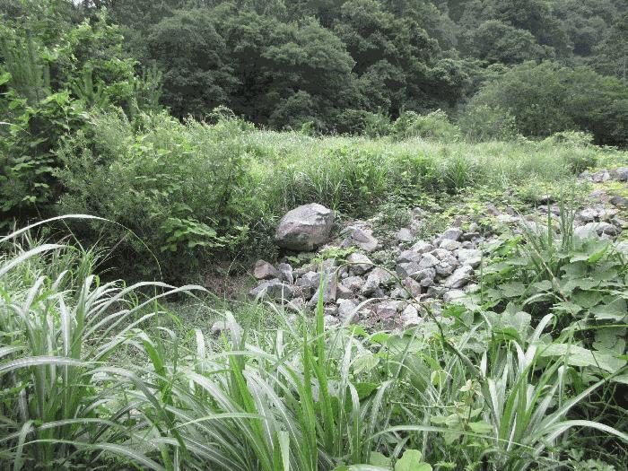 경상남도 거제시 아주동 1505 답 경매 사진 3