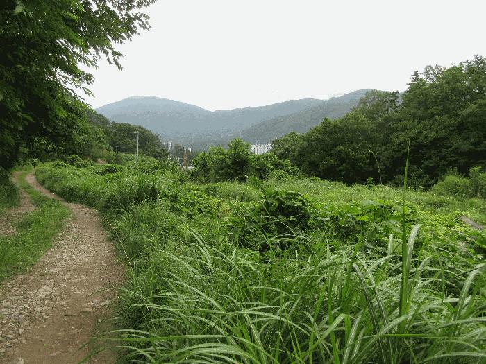 경상남도 거제시 아주동 1505 답 경매 사진 4