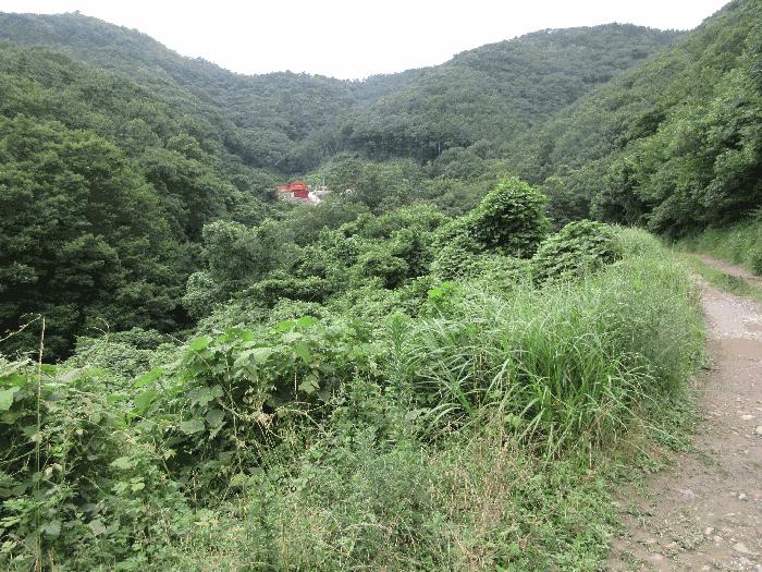 경상남도 거제시 아주동 1505 답 경매 사진 5