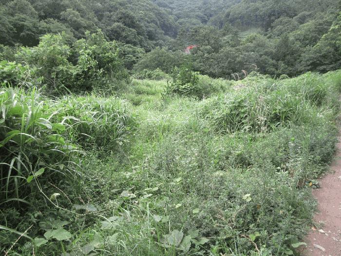 경상남도 거제시 아주동 1505 답 경매 사진 6