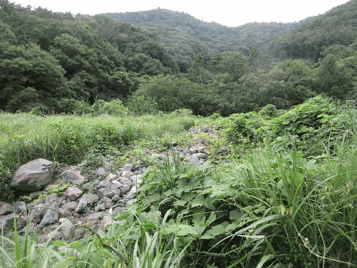 경상남도 거제시 아주동 1505 답 경매 사진 7