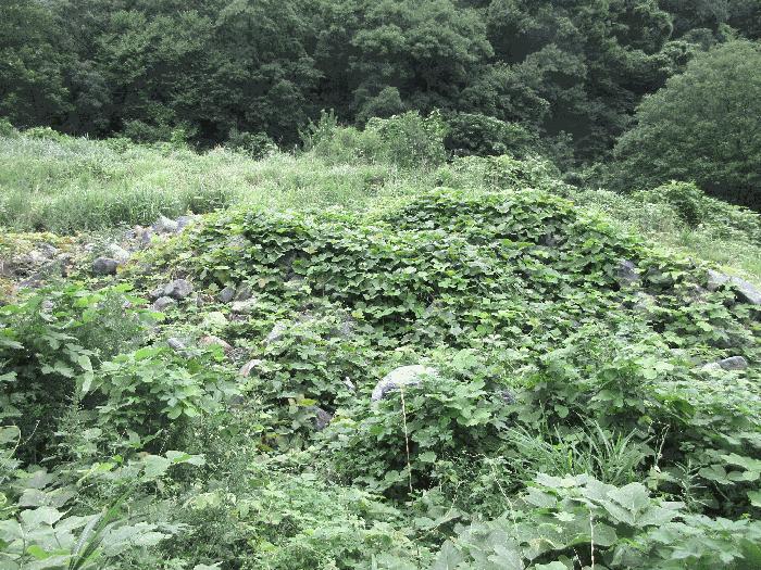 경상남도 거제시 아주동 1505 답 경매 사진 8