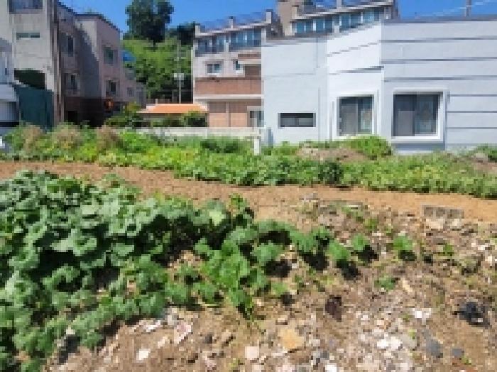 경상남도 거제시 사등면 성포리 337-2 대지 경매 사진 14