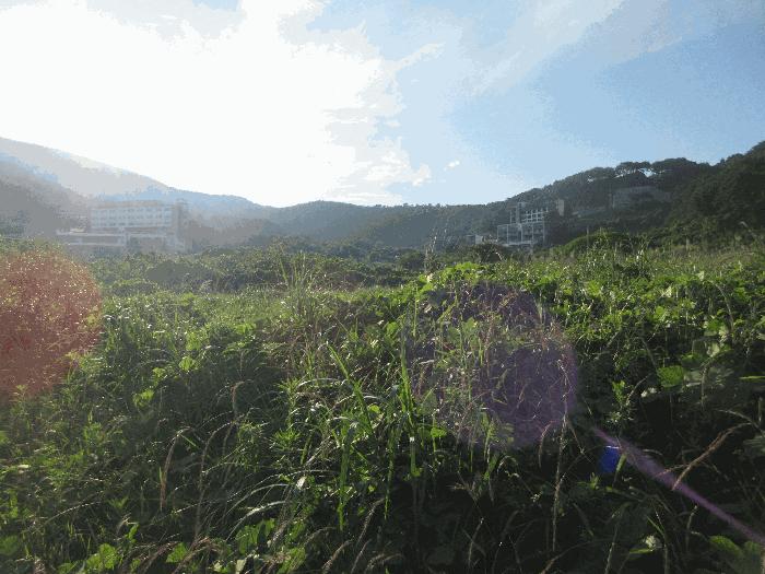 경상남도 거제시 일운면 와현리 411 답 경매 사진 3
