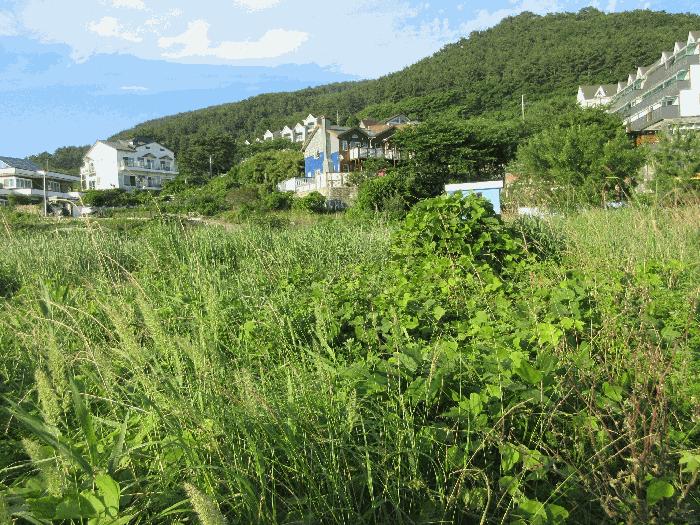경상남도 거제시 일운면 와현리 411 답 경매 사진 7