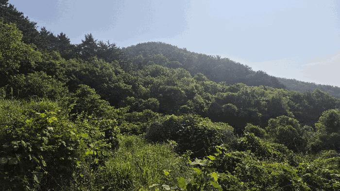 경상남도 거제시 거제면 법동리 823 답 경매 사진 2