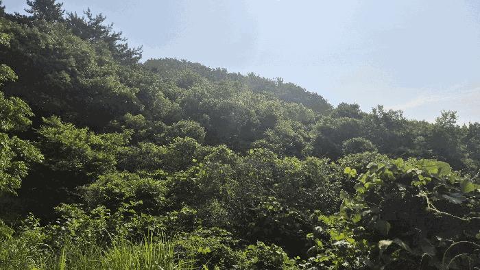 경상남도 거제시 거제면 법동리 823 답 경매 사진 3
