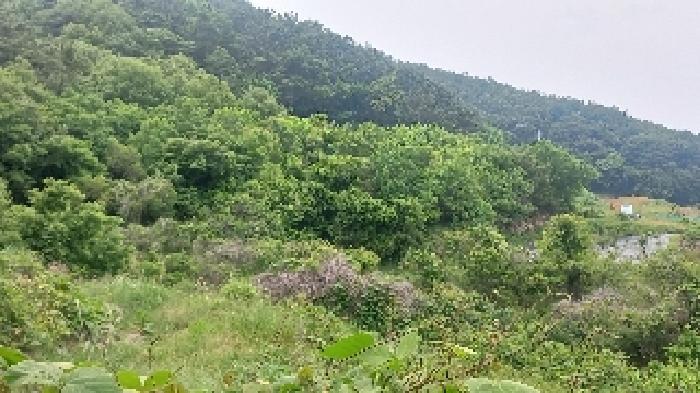 경상남도 거제시 거제면 법동리 823 답 경매 사진 5