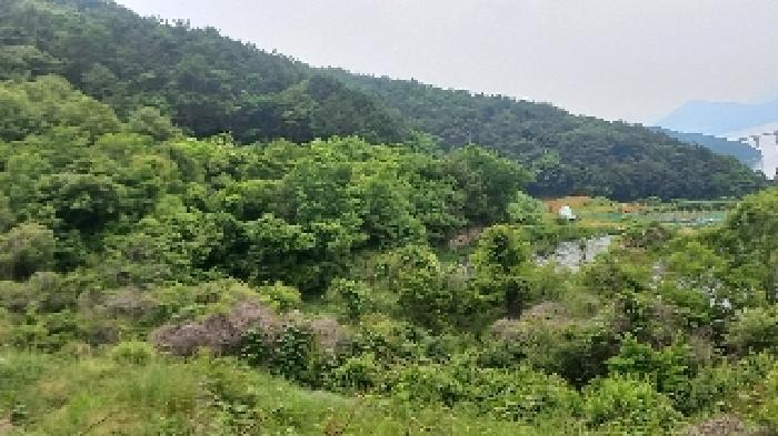 경상남도 거제시 거제면 법동리 823 답 경매 사진 6