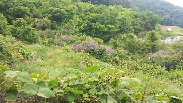 경상남도 거제시 거제면 법동리 823 답 경매 사진 9