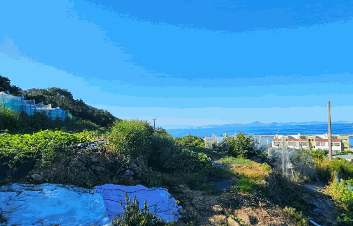 경상남도 거제시 능포동 557 전 경매 사진 2