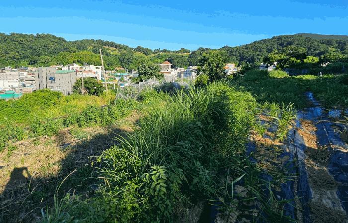경상남도 거제시 능포동 557 전 경매 사진 3