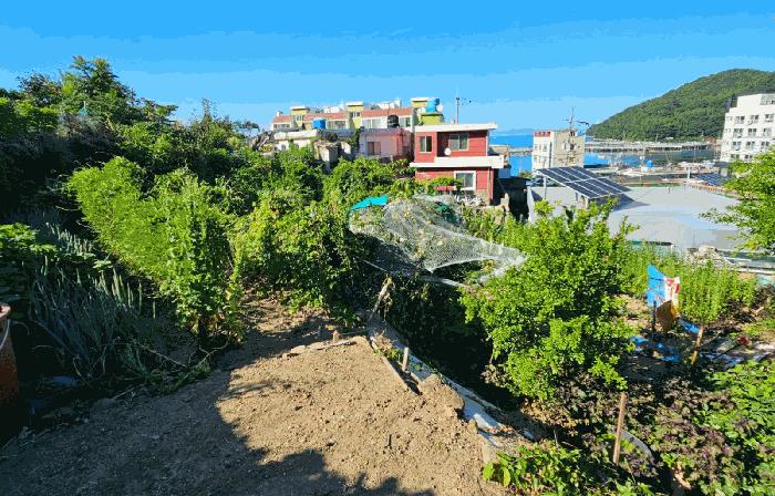 경상남도 거제시 능포동 557 전 경매 사진 5