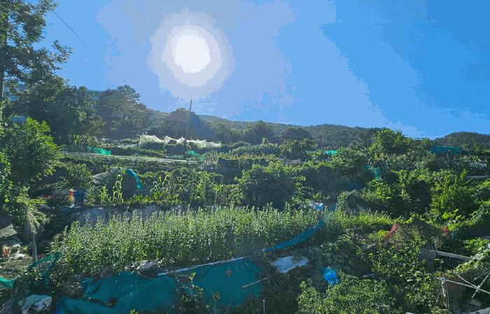 경상남도 거제시 능포동 557 전 경매 사진 6