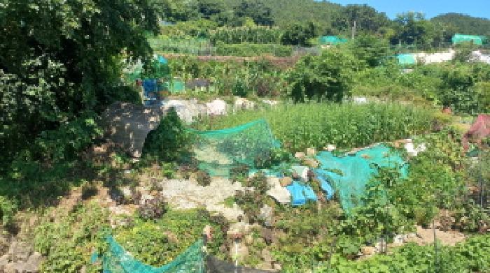 경상남도 거제시 능포동 557 전 경매 사진 7