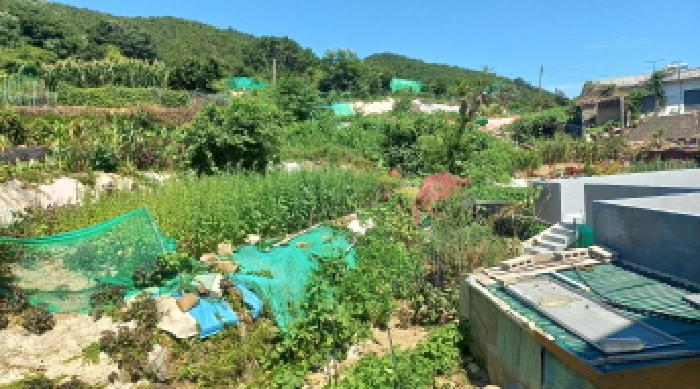 경상남도 거제시 능포동 557 전 경매 사진 8