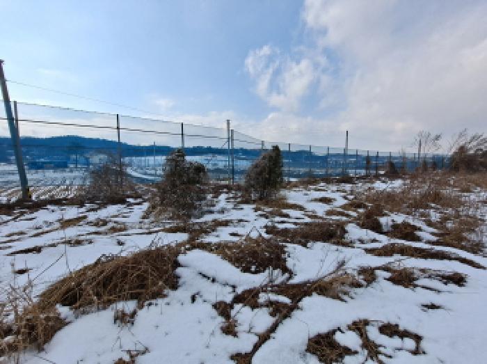 충청남도 당진시 순성면 아찬리 147 답 경매 사진 12