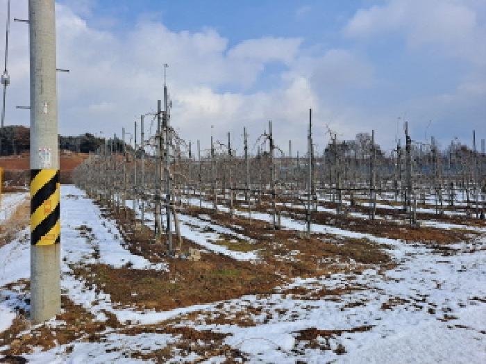 충청남도 당진시 순성면 아찬리 147 답 경매 사진 32