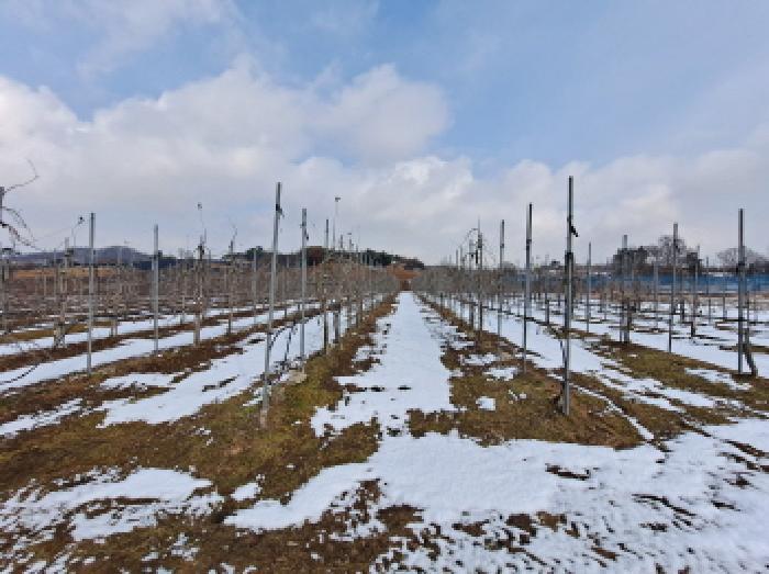 충청남도 당진시 순성면 아찬리 147 답 경매 사진 33