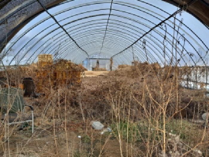 충청남도 당진시 순성면 아찬리 147 답 경매 사진 8