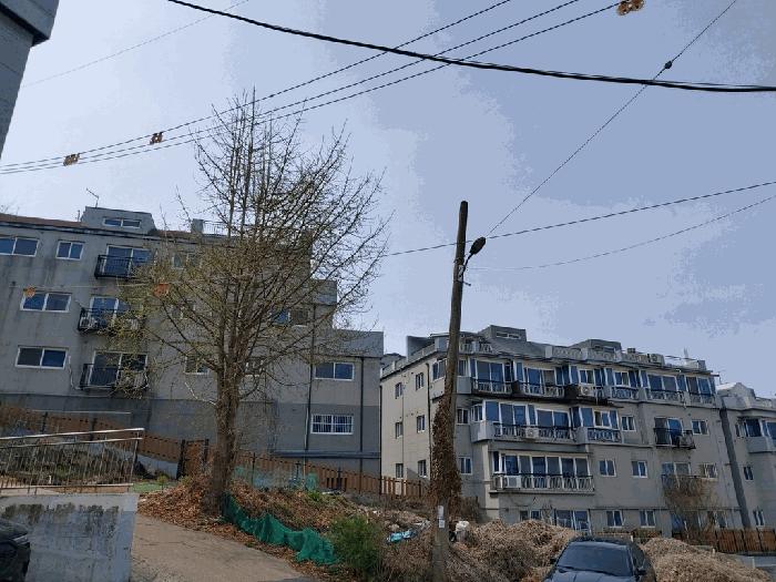 경기도 김포시 사우동 1267 1층101호 근린상가 경매 사진 9