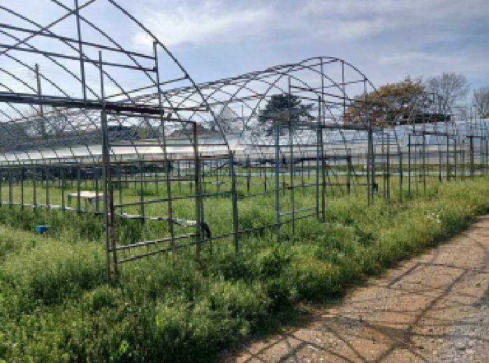 충청남도 서산시 고북면 봉생리 570-11 창고 경매 사진 27